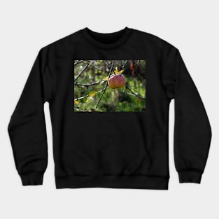 Autumn 2020 Crewneck Sweatshirt